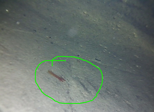 視頻內(nèi)窺鏡具有哪些特點？